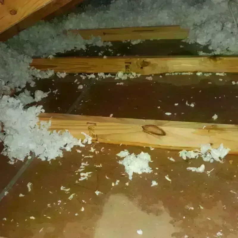 Attic Water Damage in Terrebonne Parish, LA